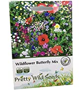 1Kg Park Drought Grass Seed Mix with Kentucky Bluegrass for a Drought Resistant Lawn, Great for D...