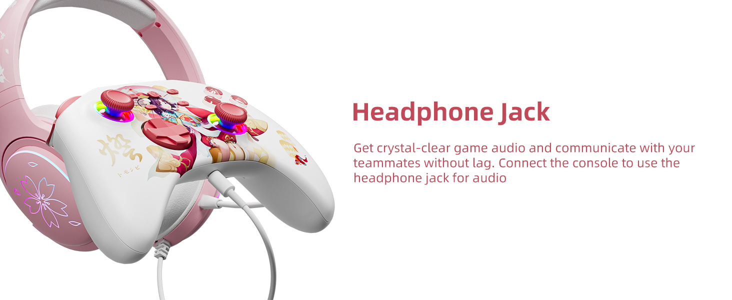 Pro Controller of Nintendo Switch