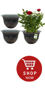 Plant Pots