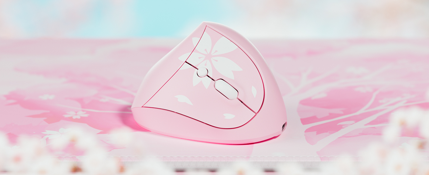 Mini Vertical Ergonomic Mouse Wireless