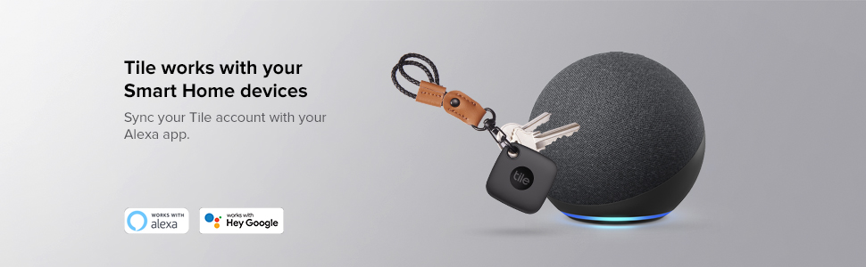 Works with Google and Alexa