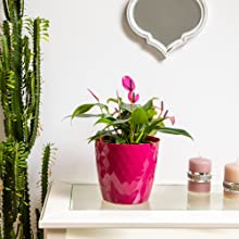 plant pots indoor outdoor red garden planter crystal