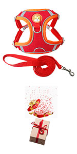 Dog Harness and Leash