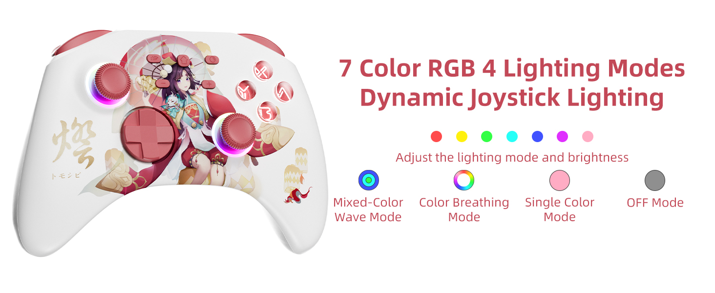 Wireless Switch Pro Controller