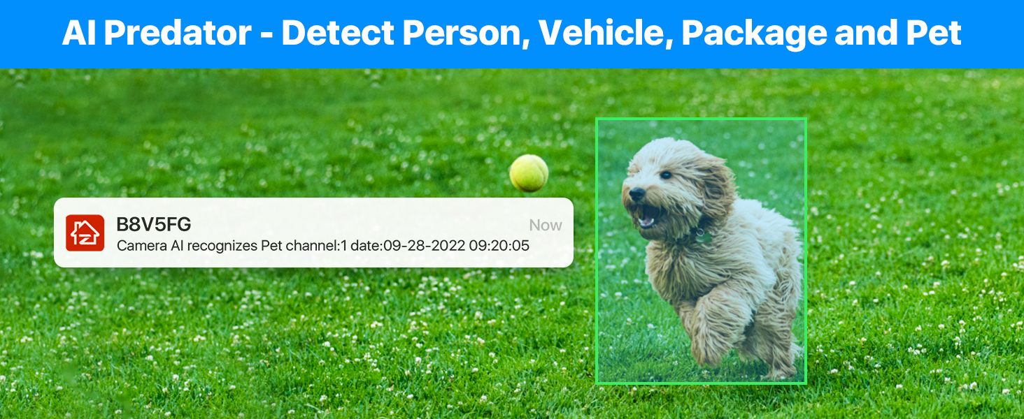 home security camera wireless camera with pet detection