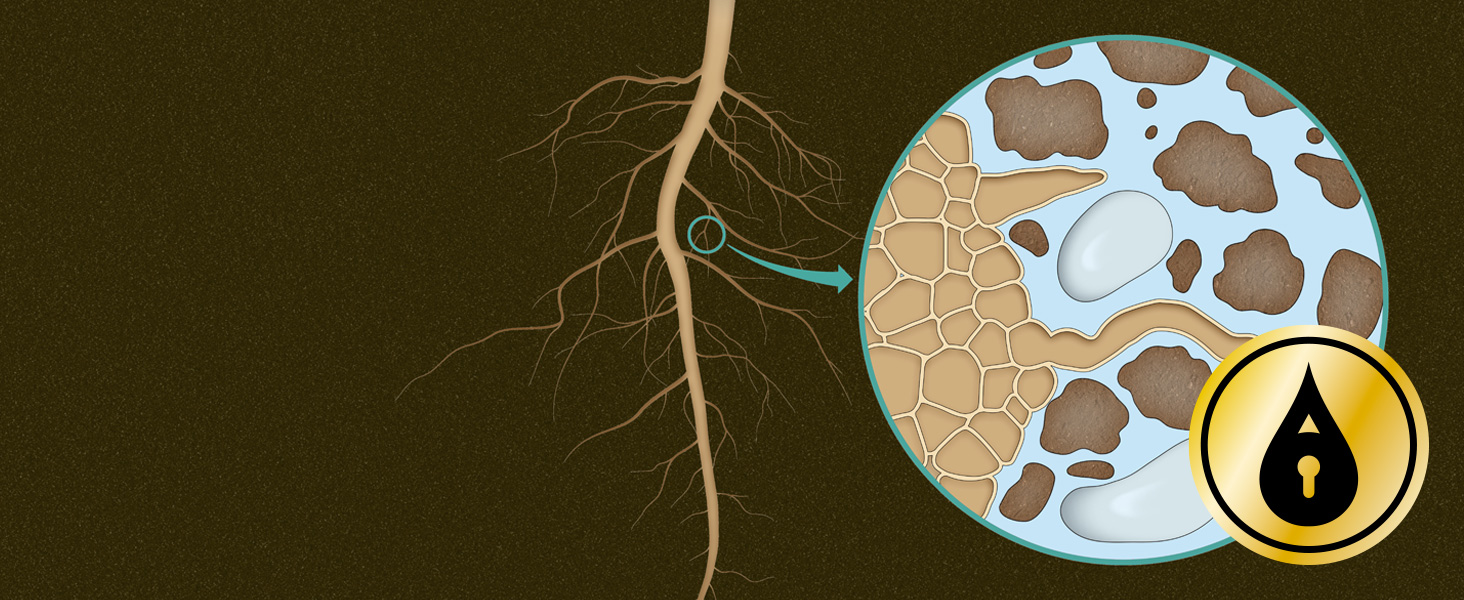 Waterlock Technology