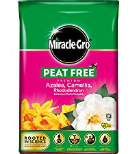 Miracle-Gro Peat Free Premium Azalea, Camellia, Rhododendron Ericaceous Plants Compost