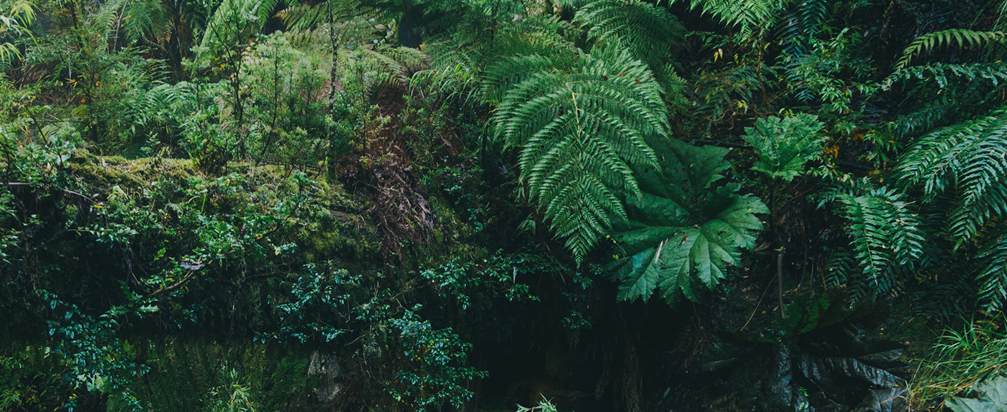 Nordgreen Water for Good