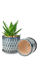 Plant Pot Inddor