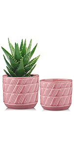 Pink Plant Pot