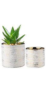 Gold Plant Pot