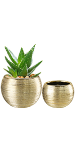 Gold Plant Pot Indoor