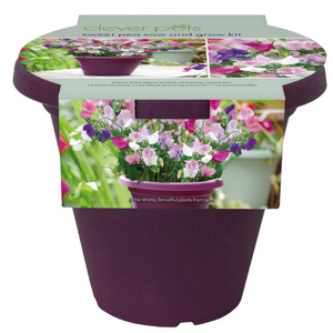 edibles garden gifts