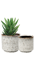 2 Pack Ceramic Plant Pot