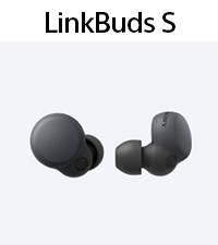 linkbuds s