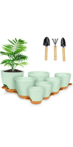 Watering Plant Pots 01