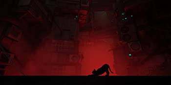 Stray