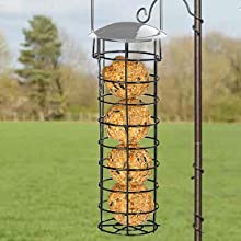 Bird feeder