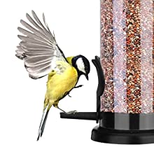 bird feeder