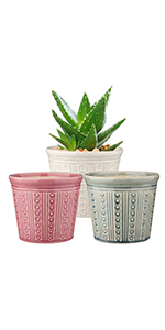 Set 3 Plant Pot Colorful