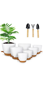 Plant Pots