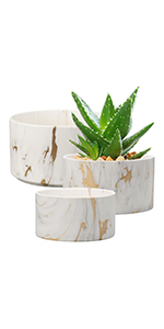 marble plant pot