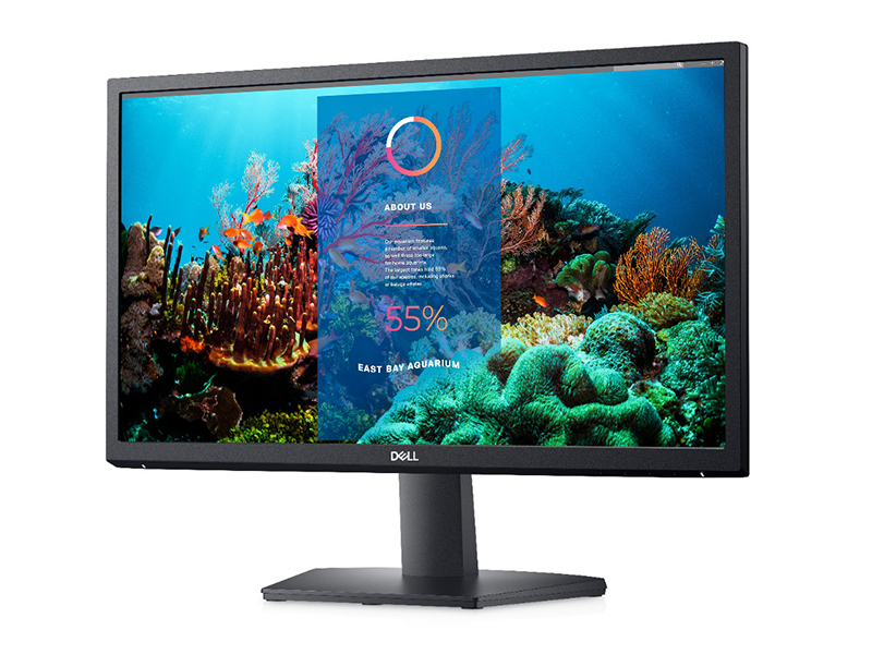 Dell 22
