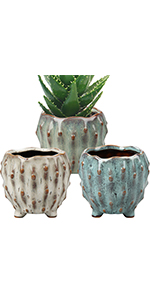 Boho Plant Pot Indoor