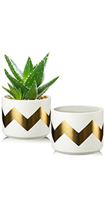 2 PCS Cement Plant Pot