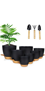 Plant Pots 