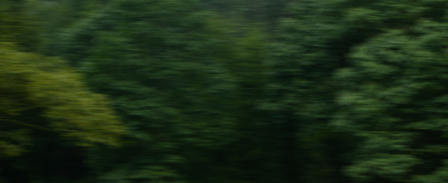 Nordgreen Giving Back Programme