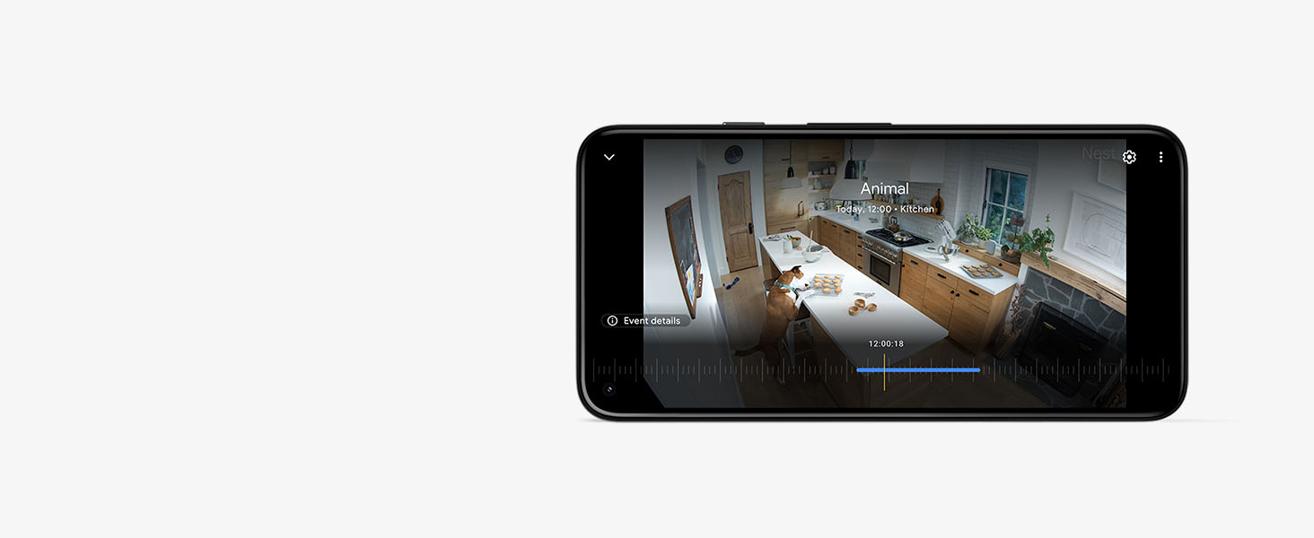 Nest Cam Outdoor Indoor Battery