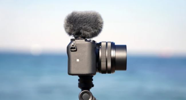 Microphone