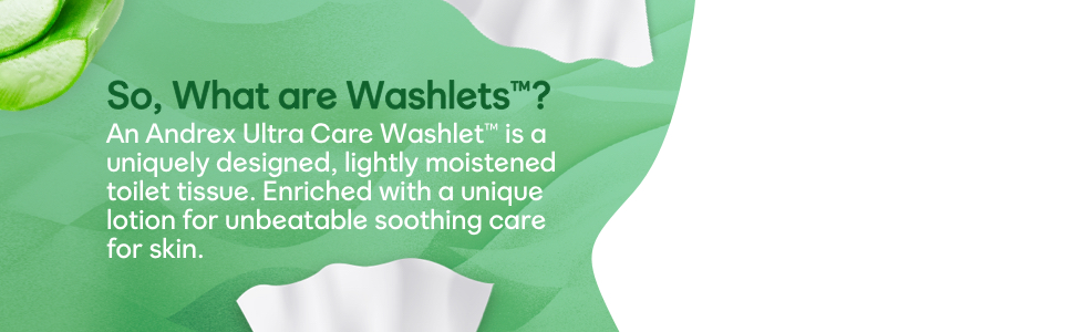 What are washlets