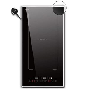 Plug in Induction Hob