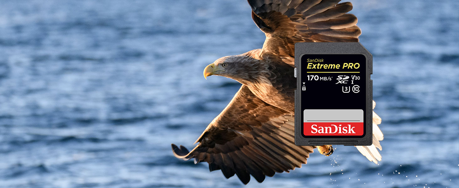 Performance that elevates your creativity