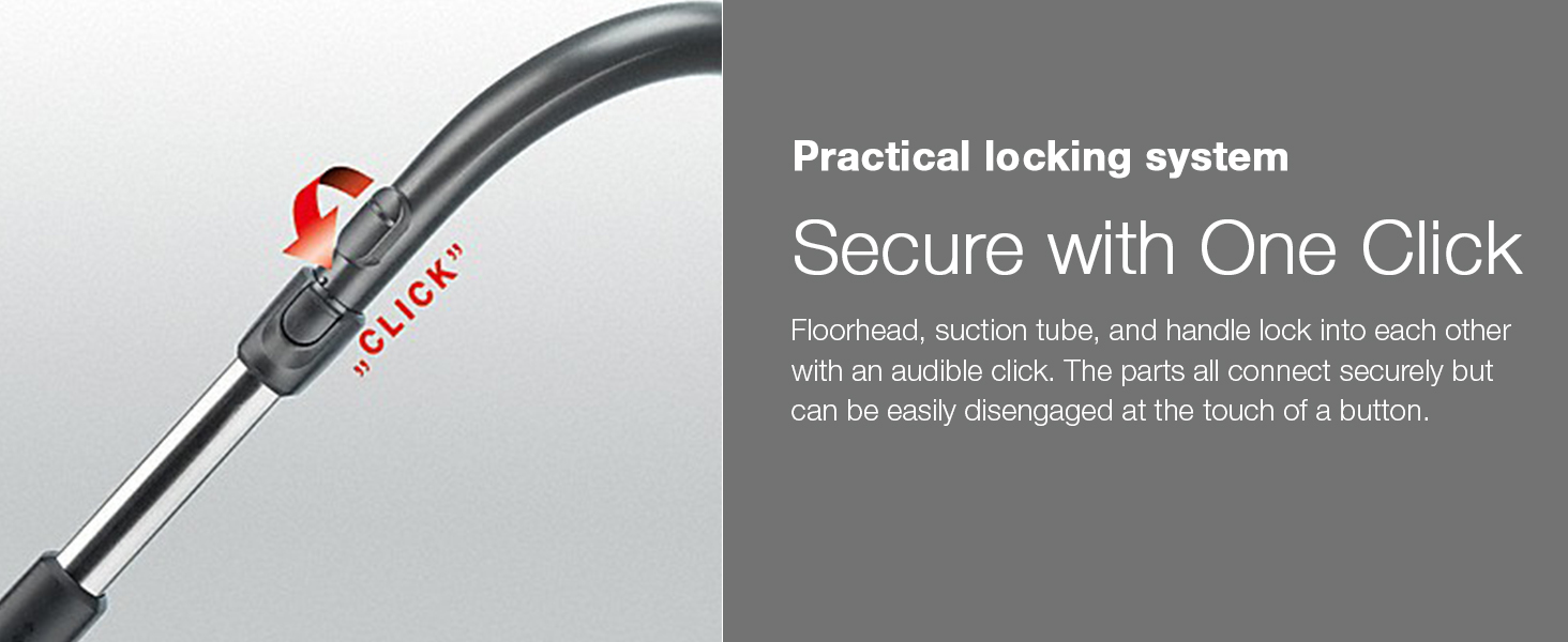 compact c2 cat and dog