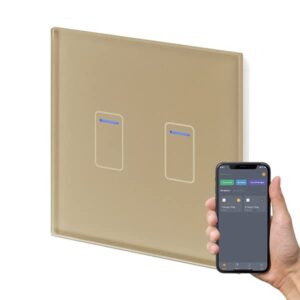 Retrotouch Crystal+ Touch WiFi Switch | 2 Gang Smart Light Switches | Multi Control | Remote Control | App Compatible With Alexa & Smart Life | Brass Glass Finish | LED Indicato