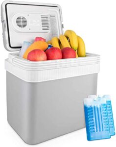 AstroAI 24 Litre Cool Box Portable Thermoelectric Electric Car Cooler for Beverage