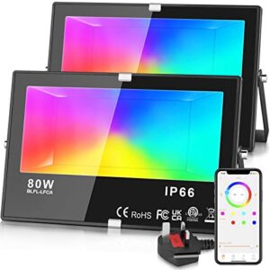 Teselife LED Floodlight Outdoor