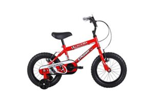 Sonic Striker Boys Kids Bike with Removeable Stabilisers for 4- 6 Year Old Children