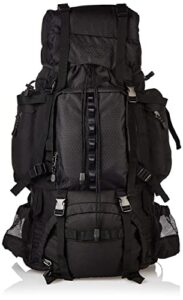 Amazon Basics Internal Frame Hiking Backpack with Rainfly