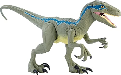 Jurassic World Super Colossal Velociraptor Blue 18” High & 3.5 Feet Long with Realistic Color