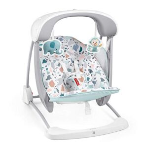 ​Fisher-Price Deluxe Take-Along Swing & Seat - Pacific Pebble portable swing and stationary chair for infants