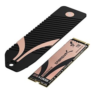 Sabrent 1TB Rocket 4 Plus NVMe 4.0 Gen4 PCIe M.2 Internal Extreme Performance SSD + M.2 NVMe PS5 heatsink (SB-RKT4P-PSHS-1TB)