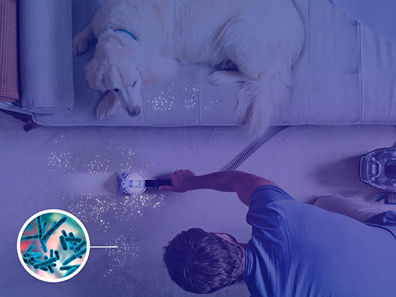 Spotwash home pet design