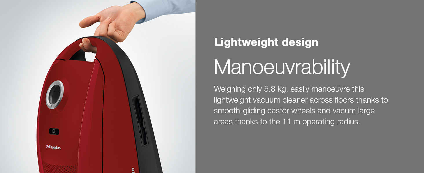 compact c2 cat and dog