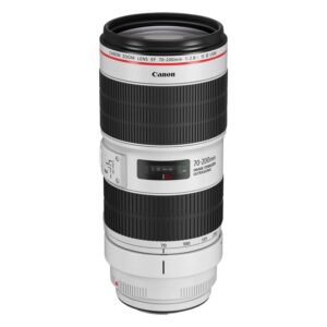 Canon EF 70-200mm f2.8 L IS III USM Telephoto Lens - White