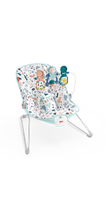 Baby&amp;#39;s Bouncer