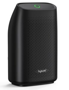 Hysure Dehumidifier for Home Damp 700mL